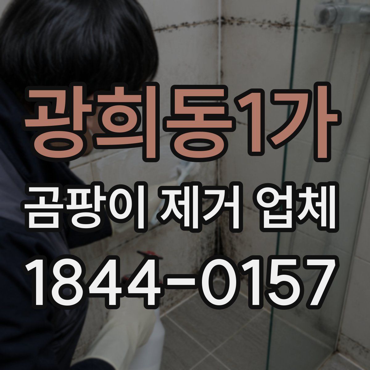 광희동1가 곰팡이 제거 업체
