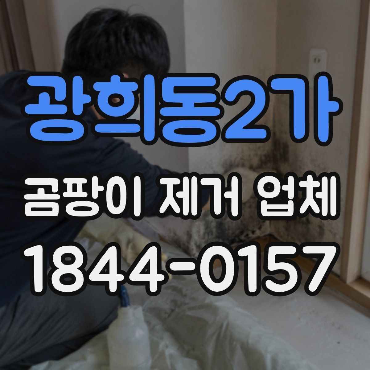 광희동2가 곰팡이 제거 업체 장마철 실내 습도 관리와 재오염 예방
