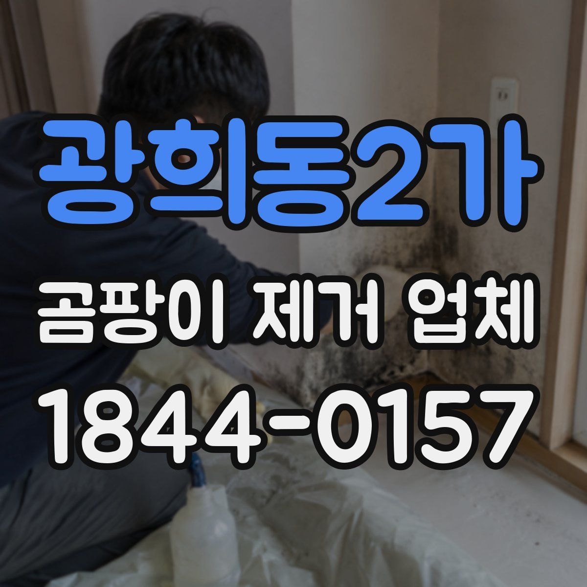 광희동2가 곰팡이 제거 업체