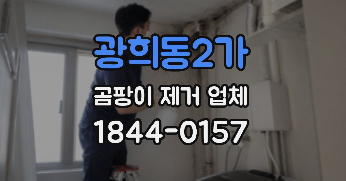 광희동2가 곰팡이 제거 업체