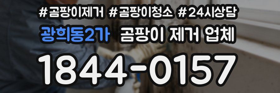 광희동2가 곰팡이 제거 업체