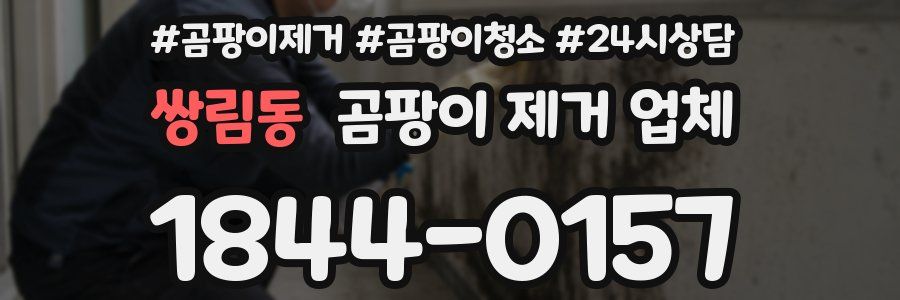 쌍림동 곰팡이 제거 업체