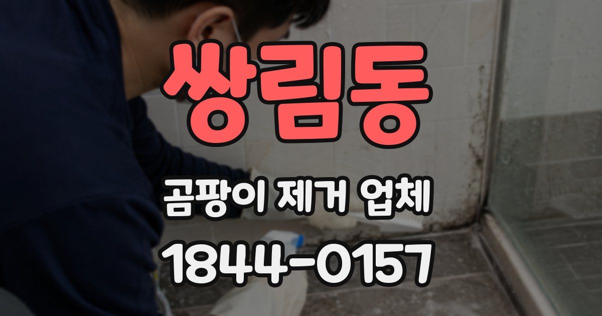 쌍림동 곰팡이 제거 업체