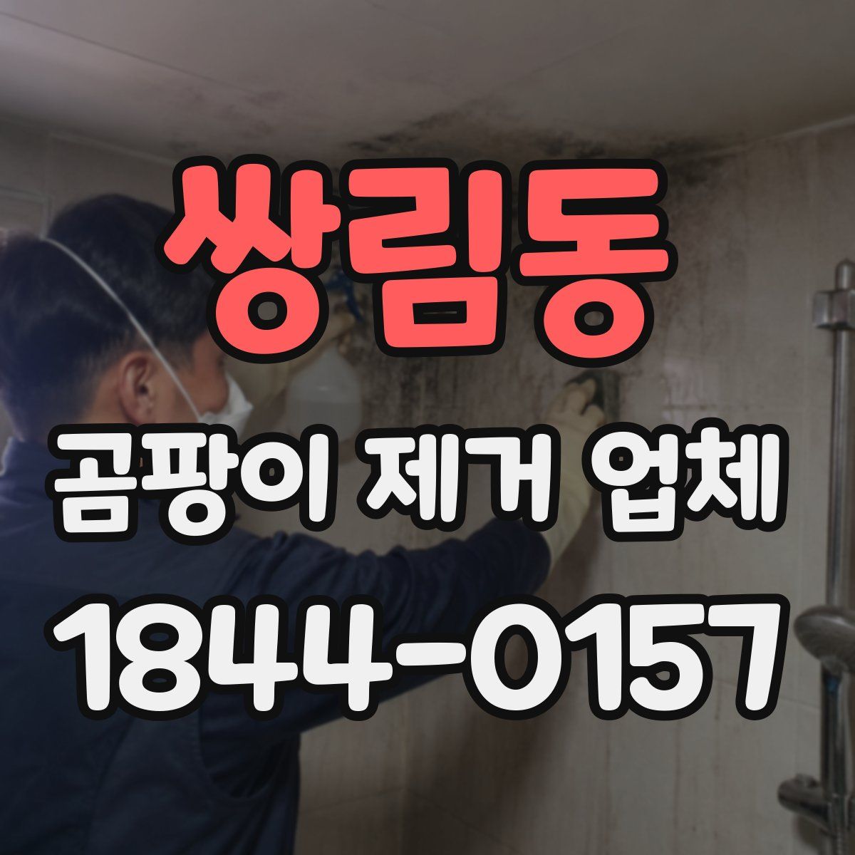쌍림동 곰팡이 제거 업체
