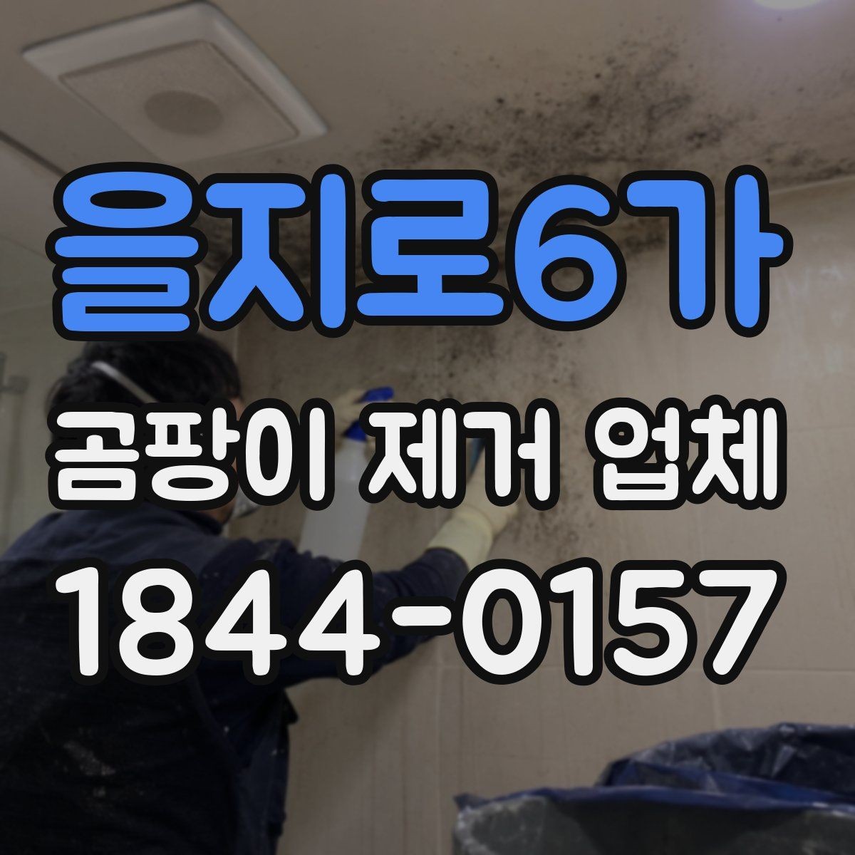을지로6가 곰팡이 제거 업체 반지하 주택에서 반복되는 냄새 원인 살피기