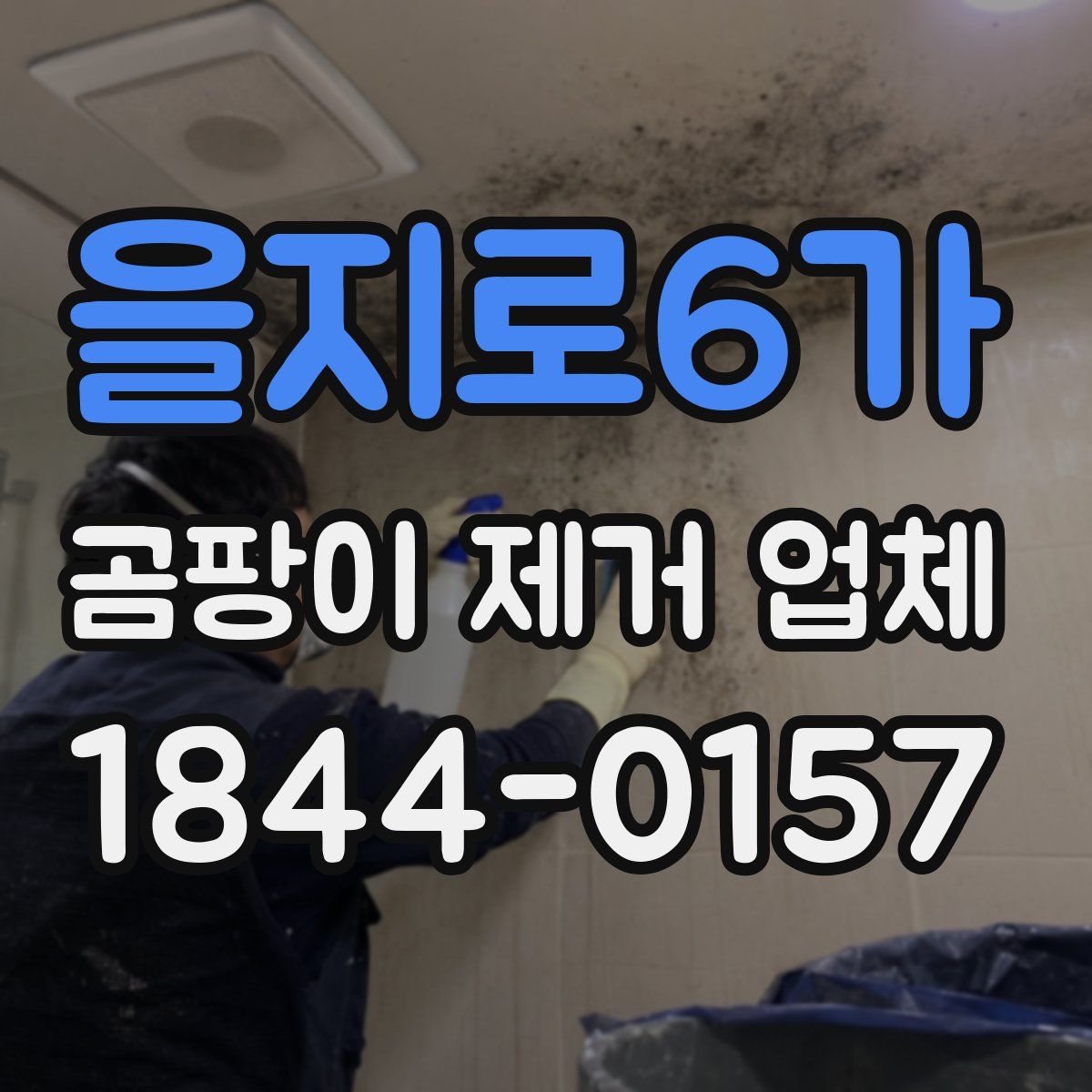 을지로6가 곰팡이 제거 업체