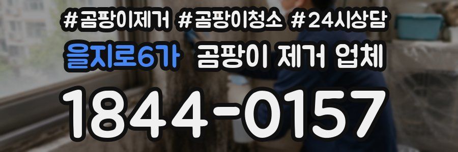 을지로6가 곰팡이 제거 업체