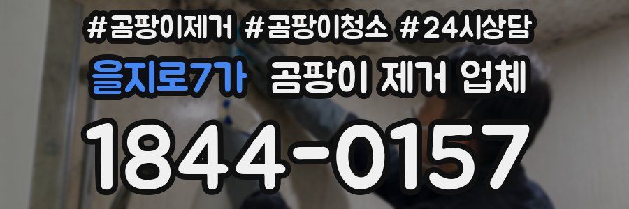 을지로7가 곰팡이 제거 업체