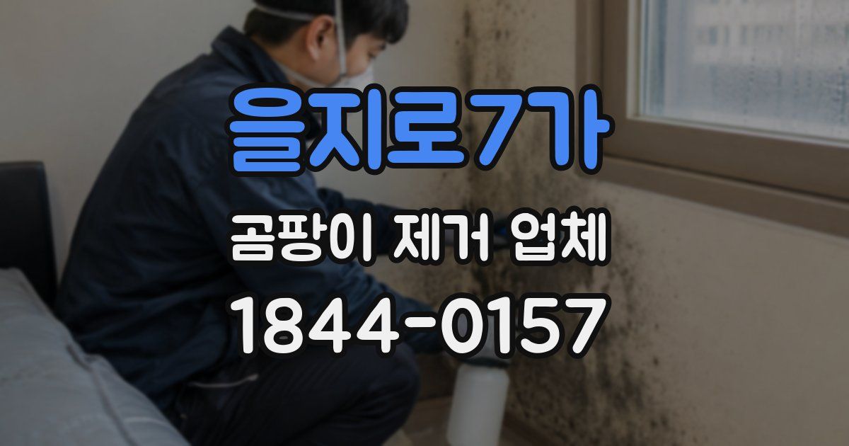 을지로7가 곰팡이 제거 업체