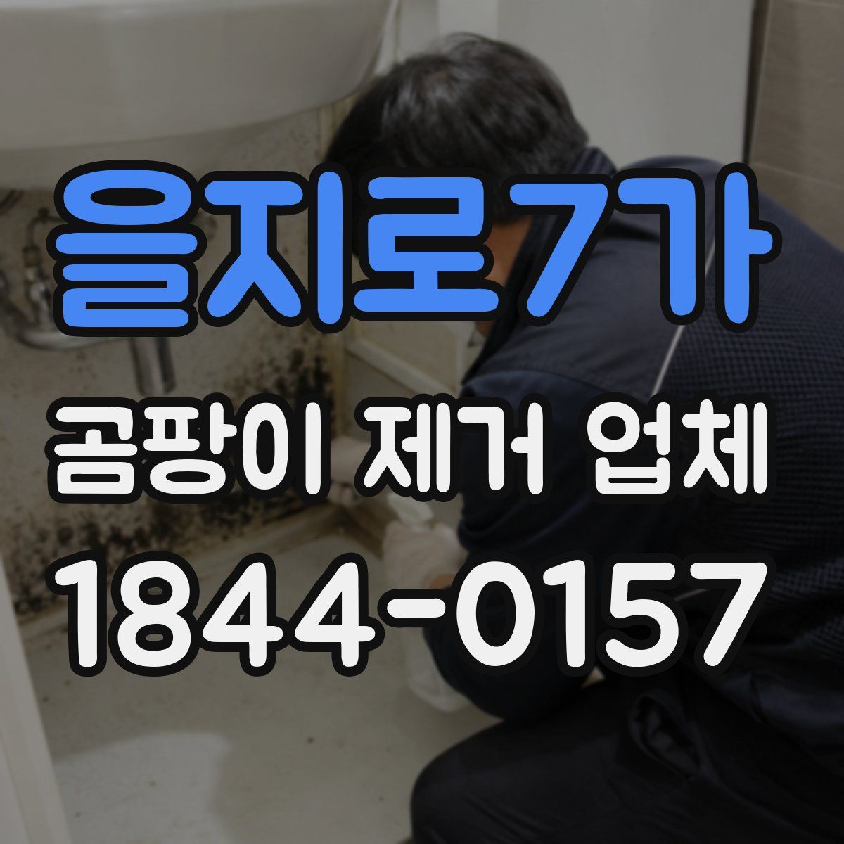 을지로7가 곰팡이 제거 업체