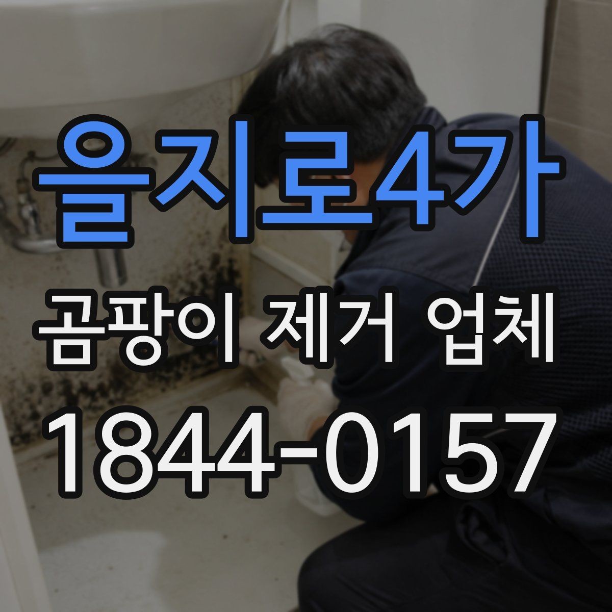 을지로4가 곰팡이 제거 업체 침투 원인 찾는 진단 포인트