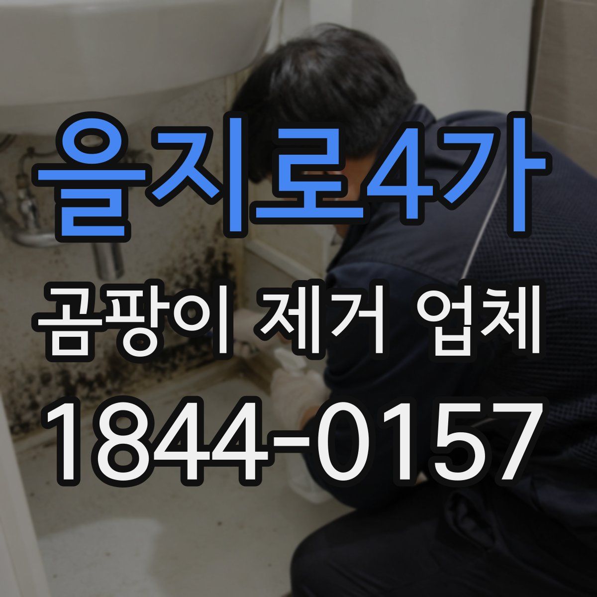 을지로4가 곰팡이 제거 업체