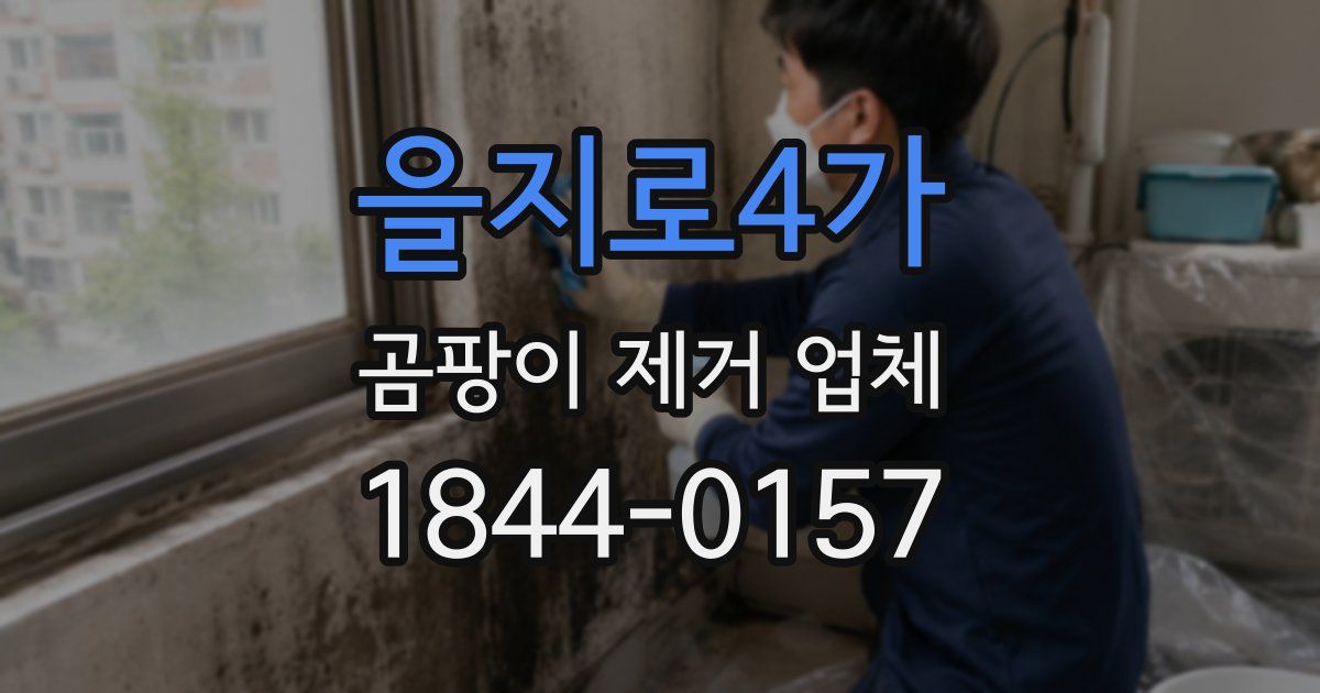 을지로4가 곰팡이 제거 업체