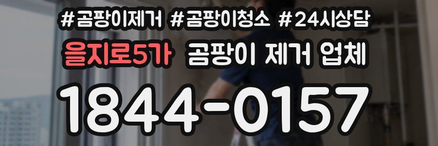 을지로5가 곰팡이 제거 업체