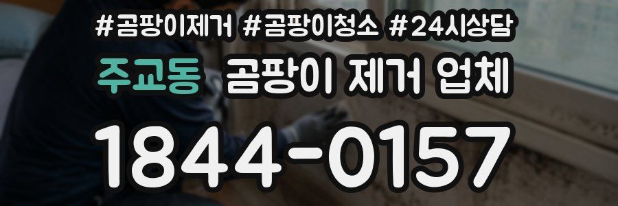 주교동 곰팡이 제거 업체