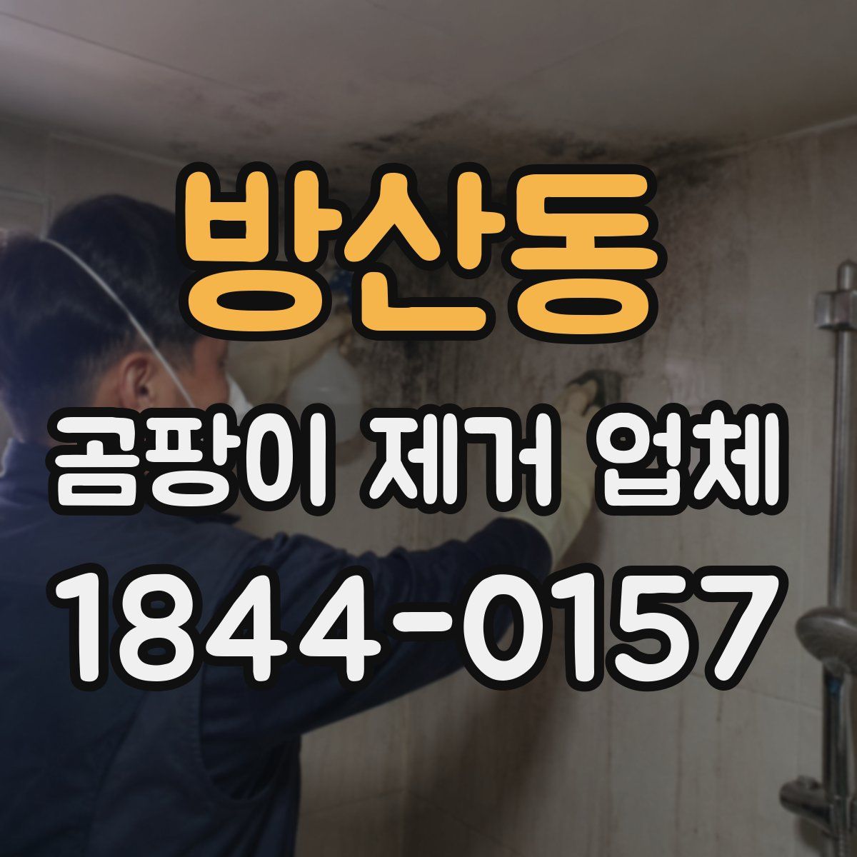 방산동 곰팡이 제거 업체