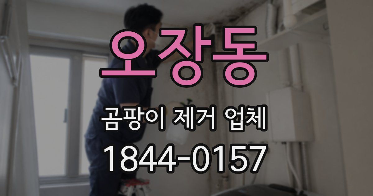 오장동 곰팡이 제거 업체