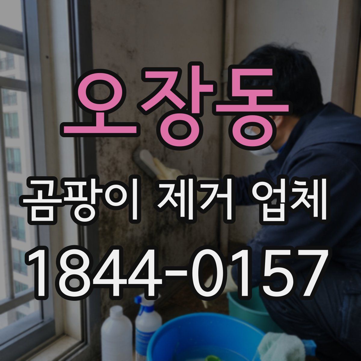 오장동 곰팡이 제거 업체