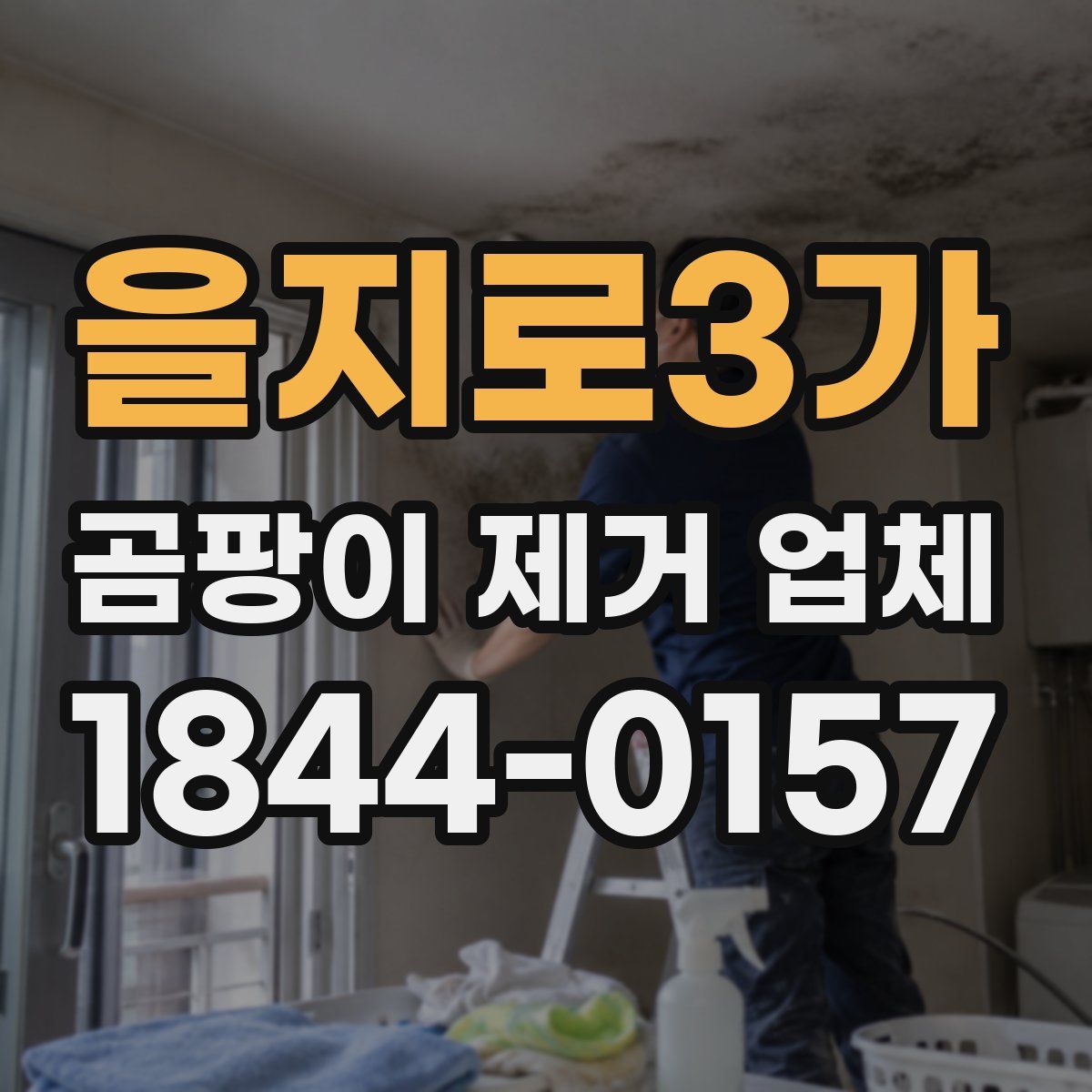을지로3가 곰팡이 제거 업체