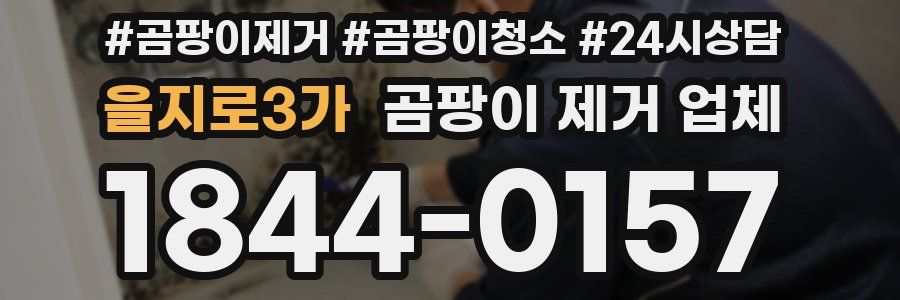 을지로3가 곰팡이 제거 업체