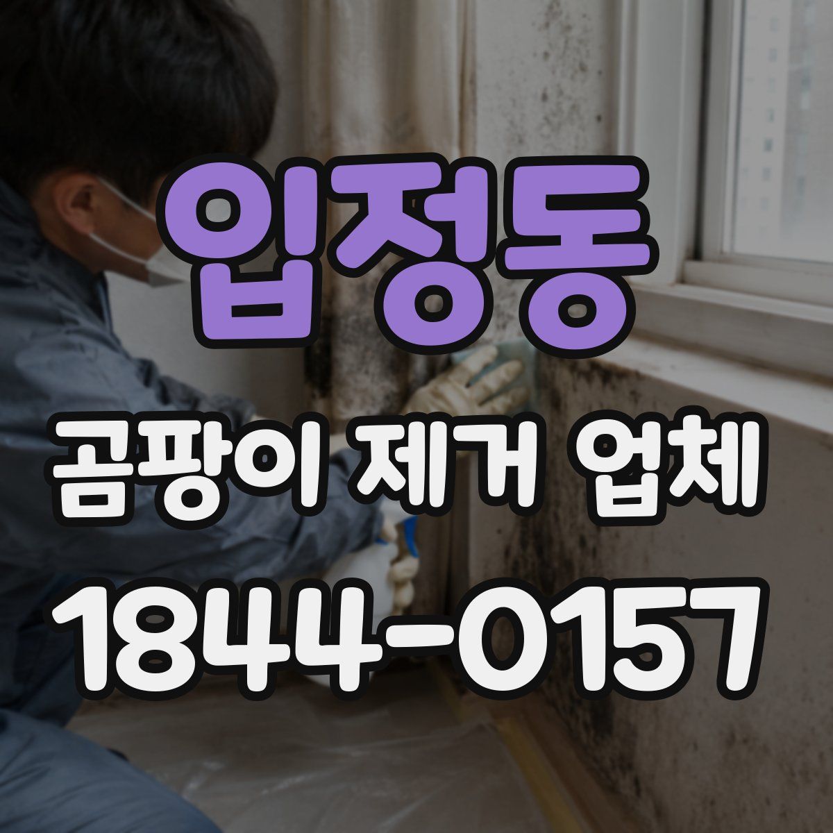 입정동 곰팡이 제거 업체
