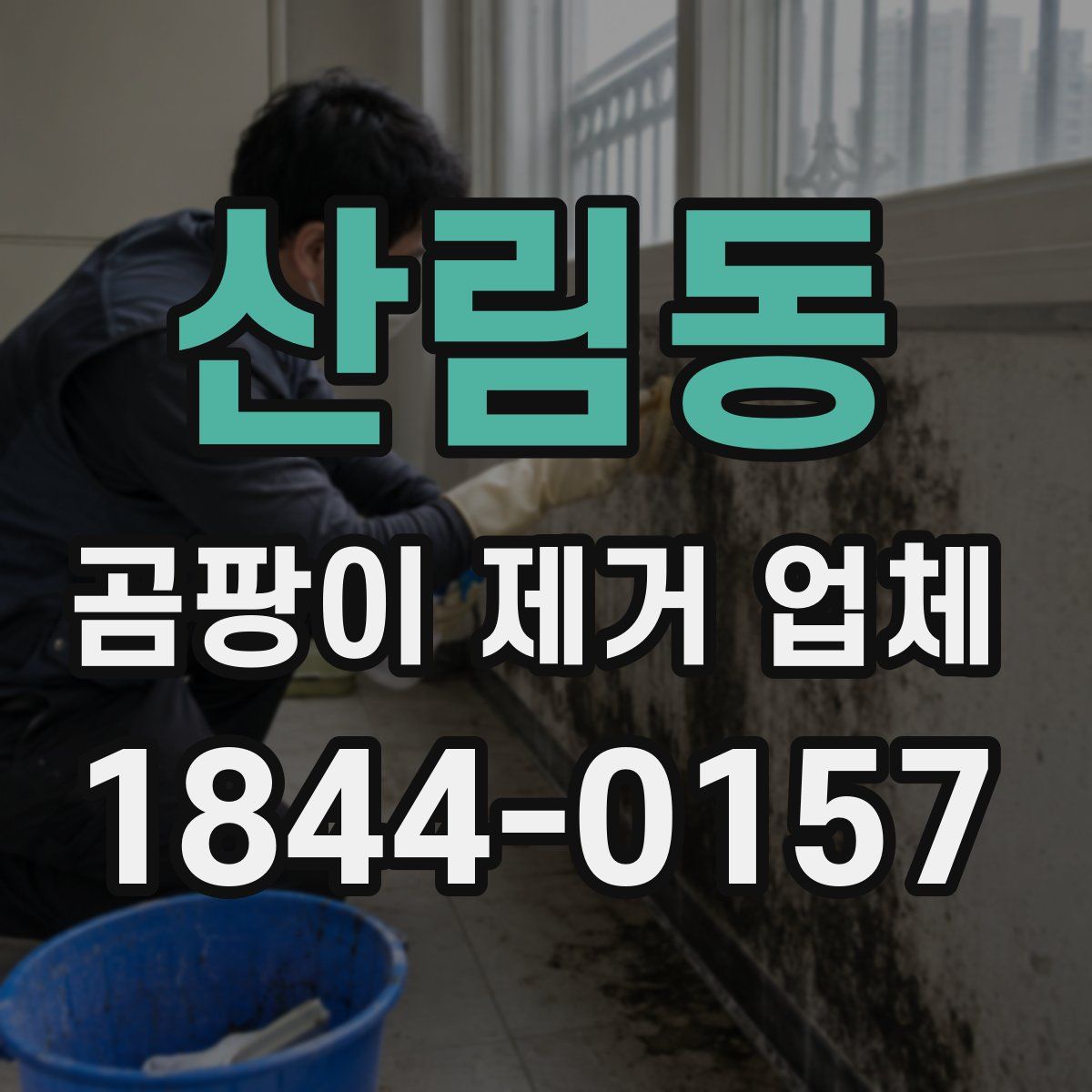 산림동 곰팡이 제거 업체