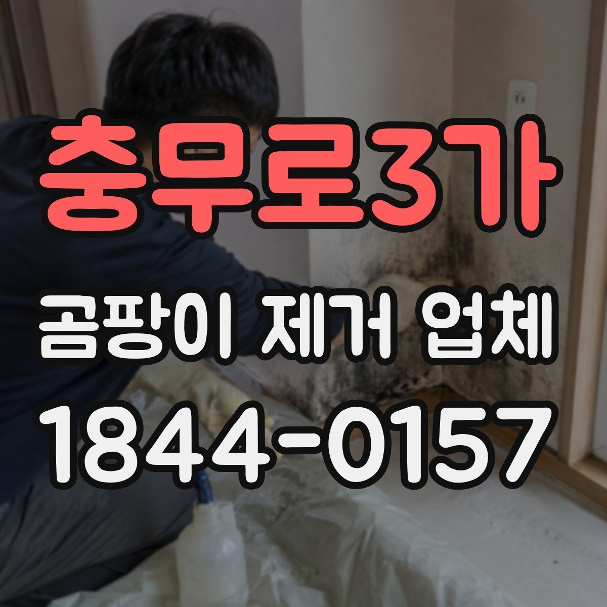 충무로3가 곰팡이 제거 업체 사진 한 장 상담 전에 준비할 자료