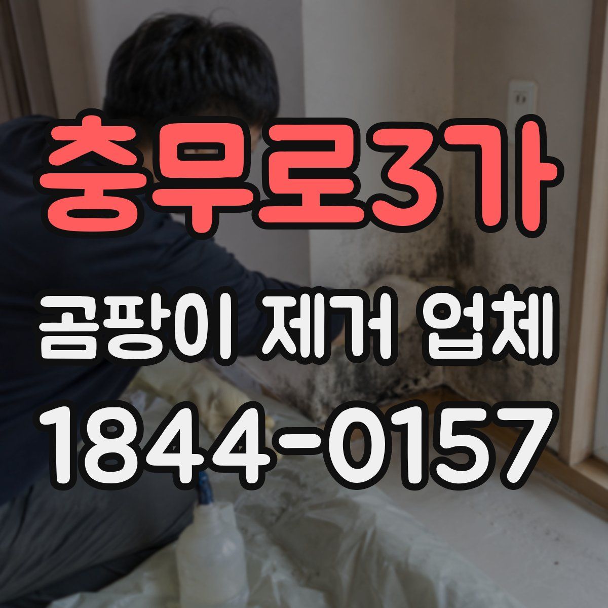충무로3가 곰팡이 제거 업체