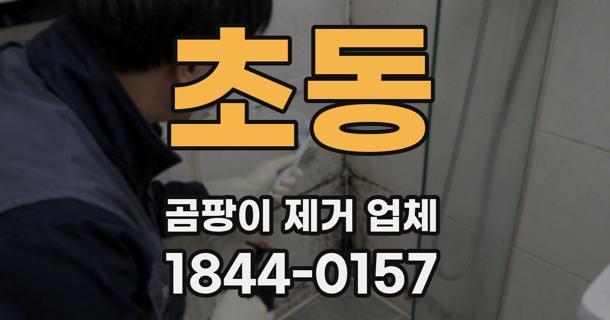 초동 곰팡이 제거 업체