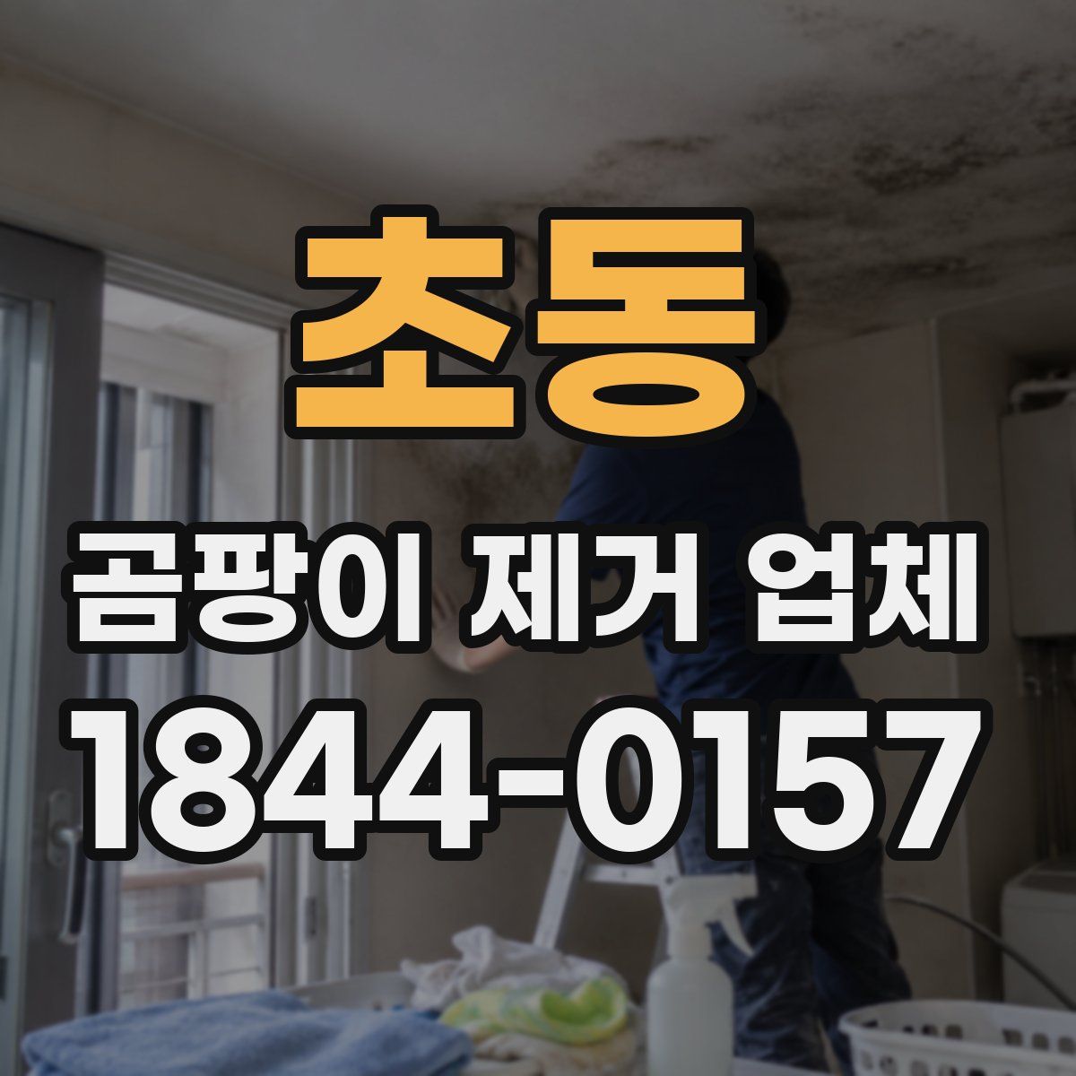 초동 곰팡이 제거 업체