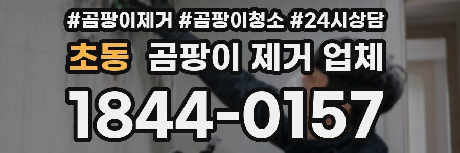 초동 곰팡이 제거 업체