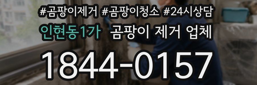 인현동1가 곰팡이 제거 업체