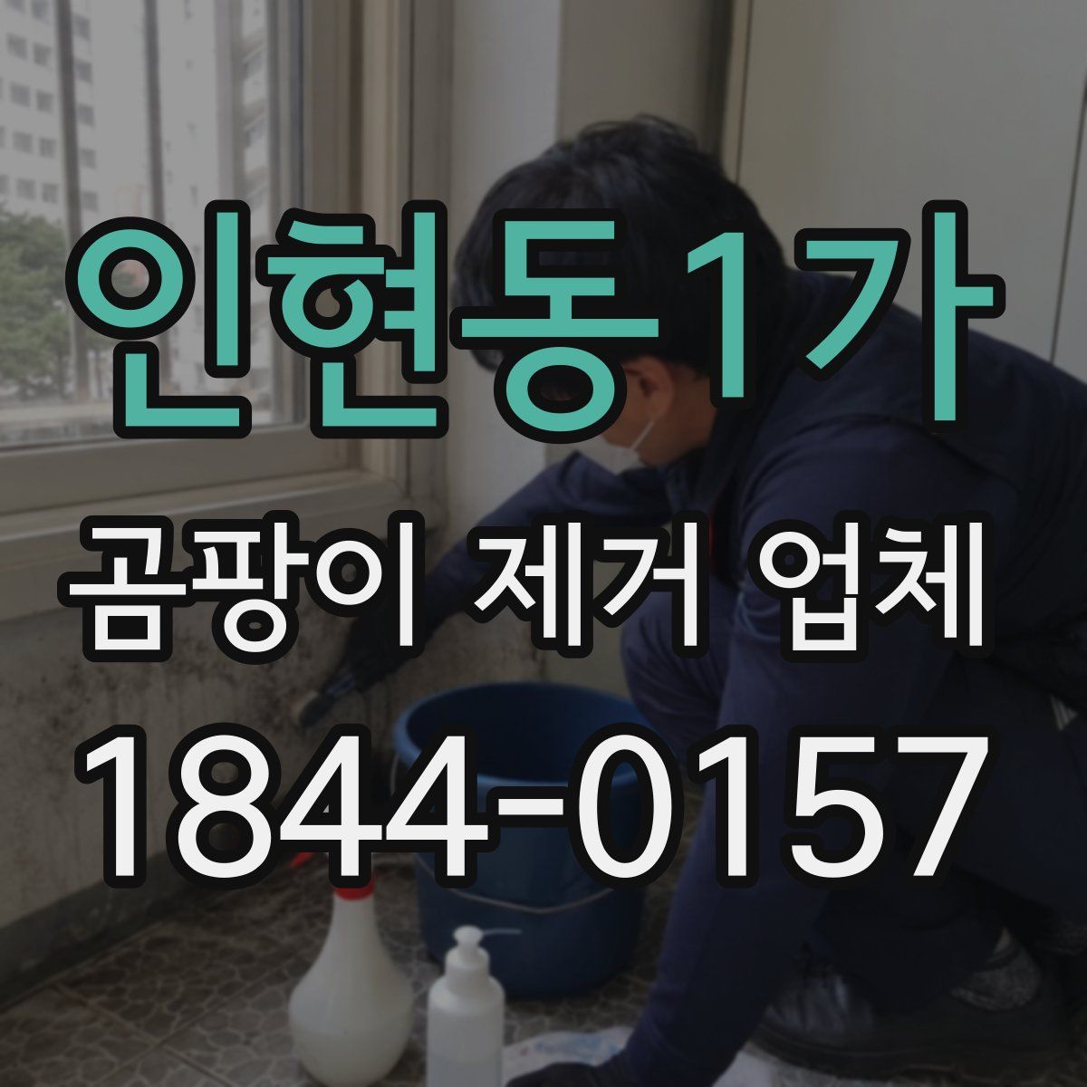 인현동1가 곰팡이 제거 업체