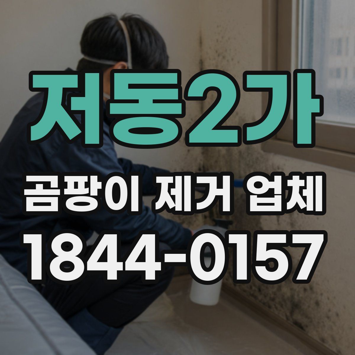 저동2가 곰팡이 제거 업체