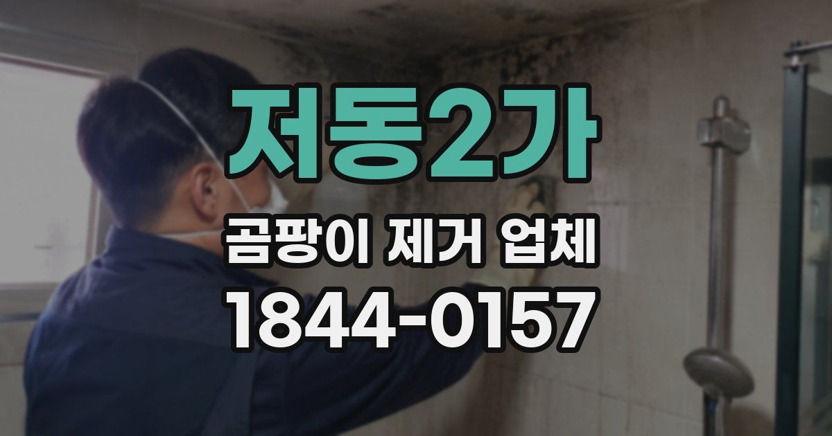 저동2가 곰팡이 제거 업체