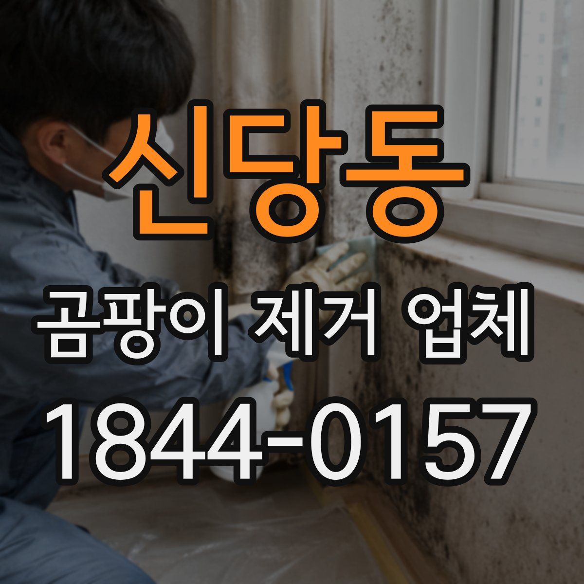 신당동 곰팡이 제거 업체