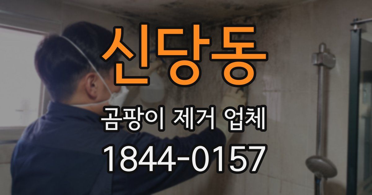 신당동 곰팡이 제거 업체