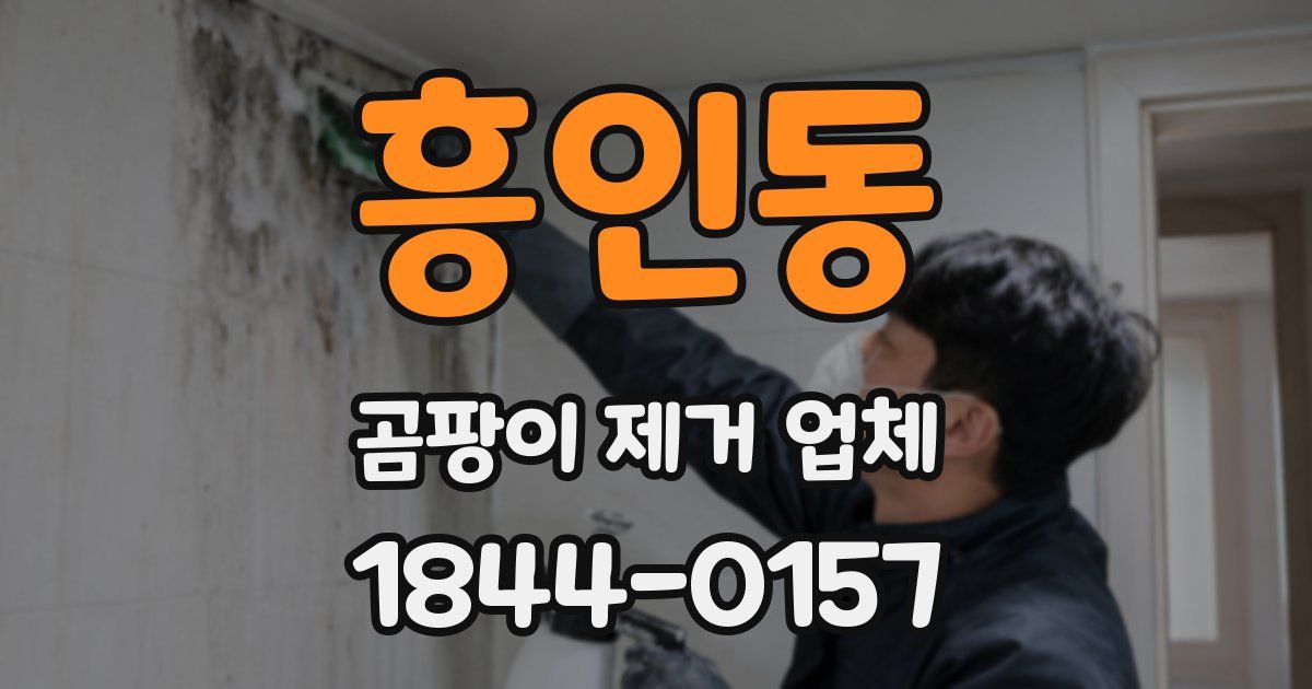 흥인동 곰팡이 제거 업체