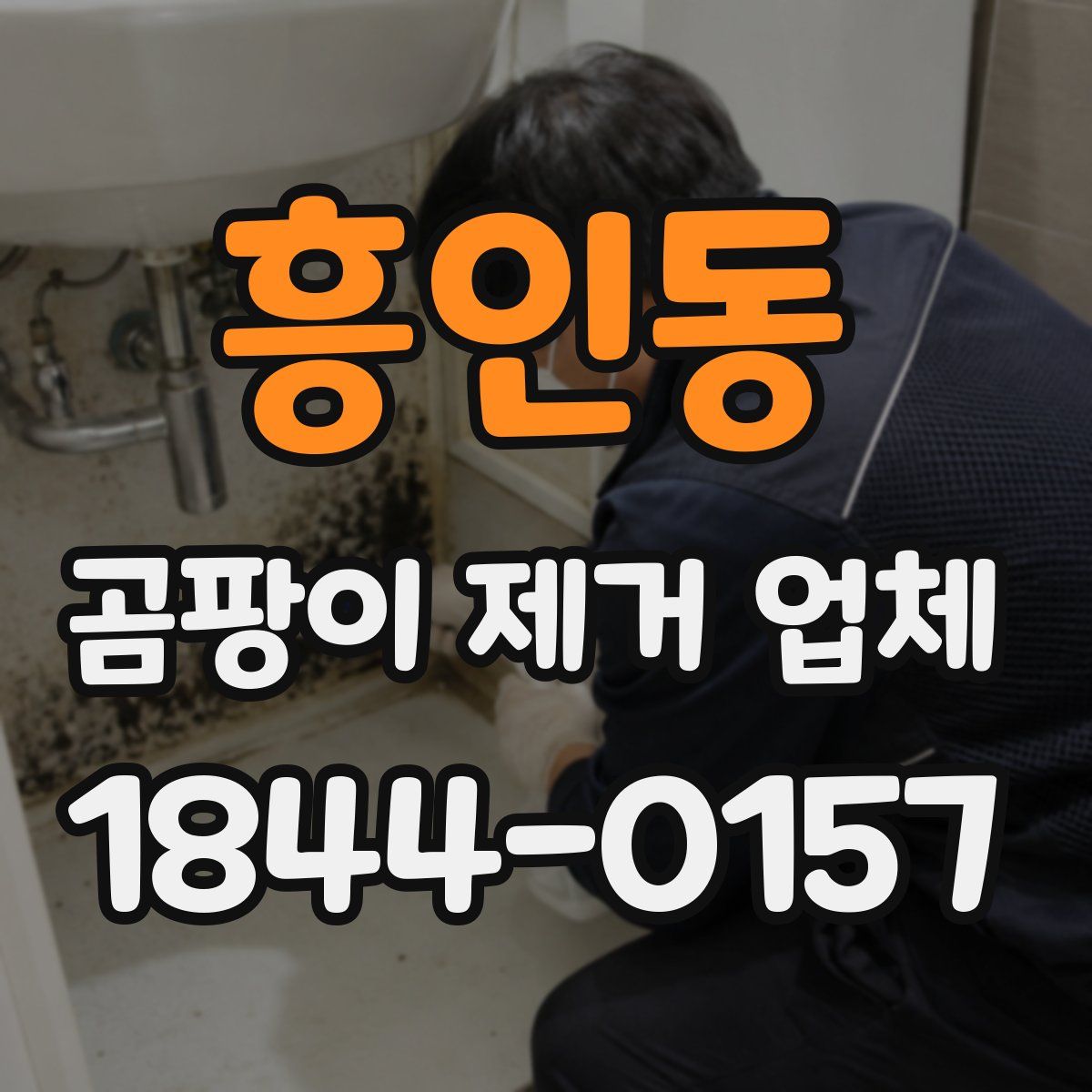 흥인동 곰팡이 제거 업체
