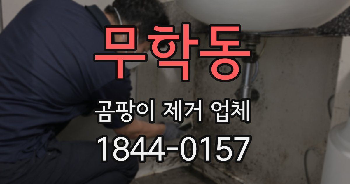 무학동 곰팡이 제거 업체