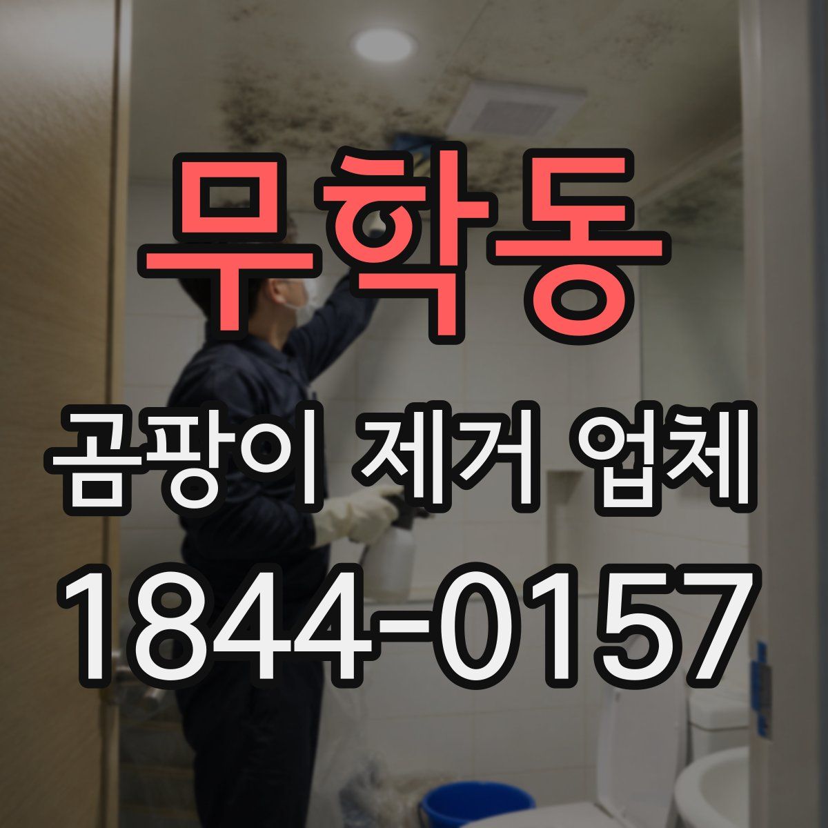 무학동 곰팡이 제거 업체