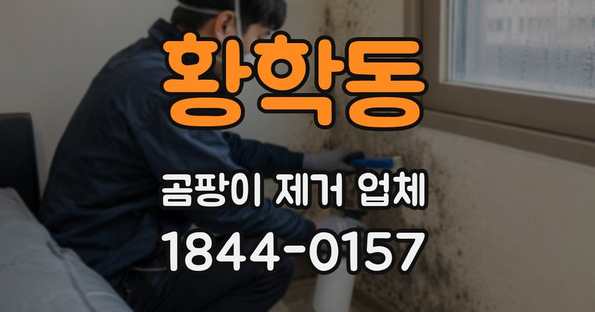 황학동 곰팡이 제거 업체