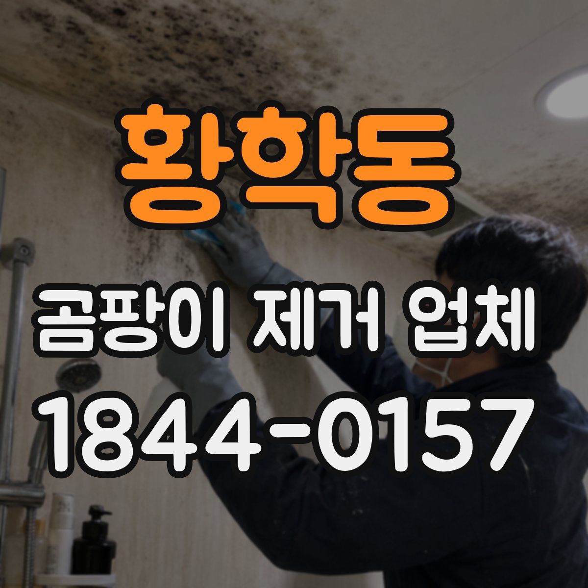 황학동 곰팡이 제거 업체