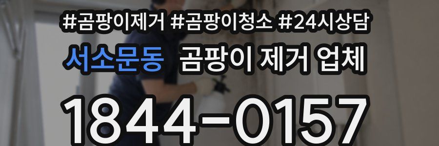 서소문동 곰팡이 제거 업체