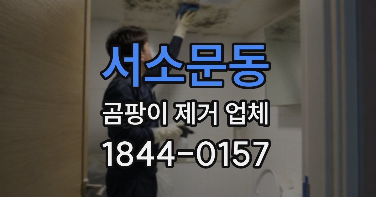 서소문동 곰팡이 제거 업체