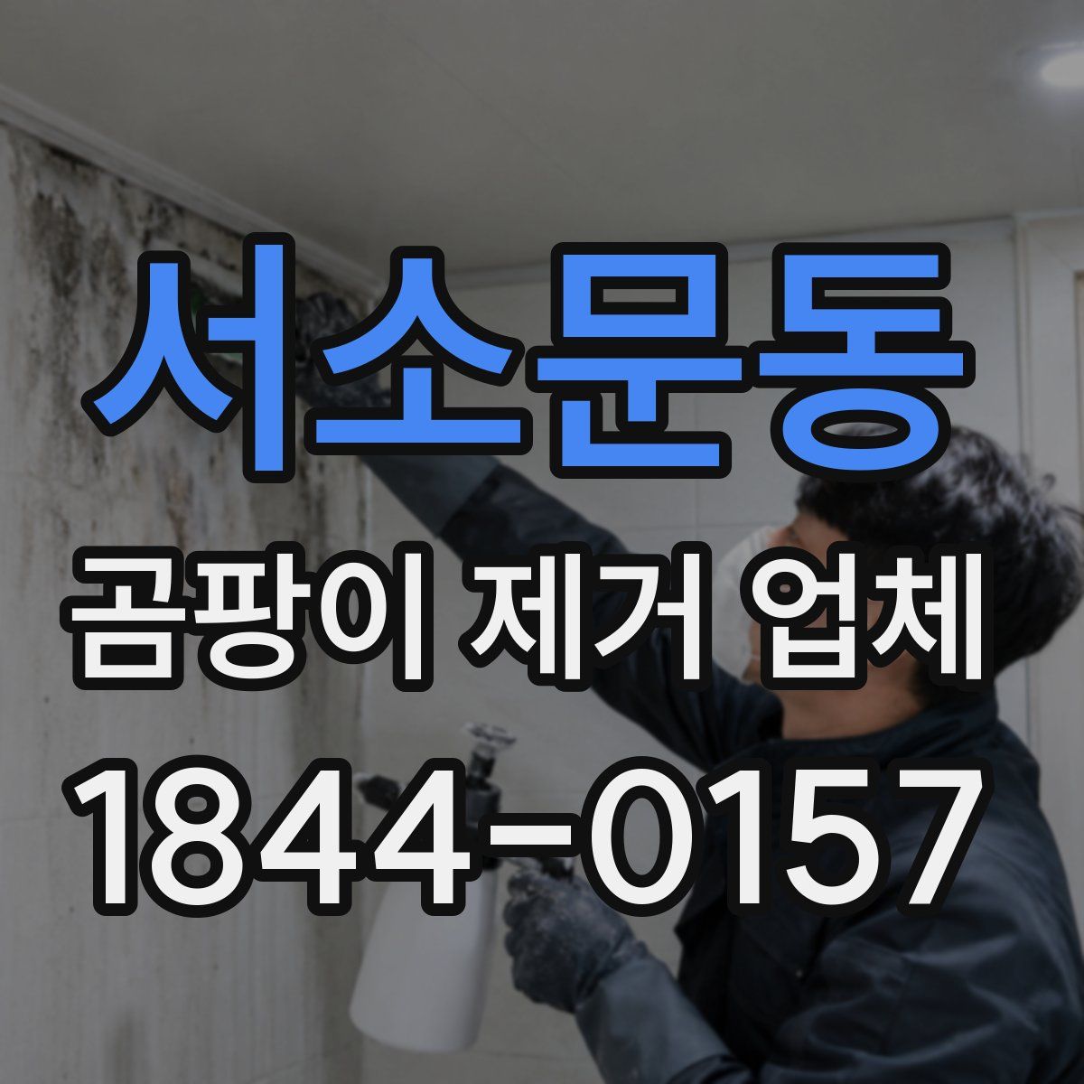 서소문동 곰팡이 제거 업체