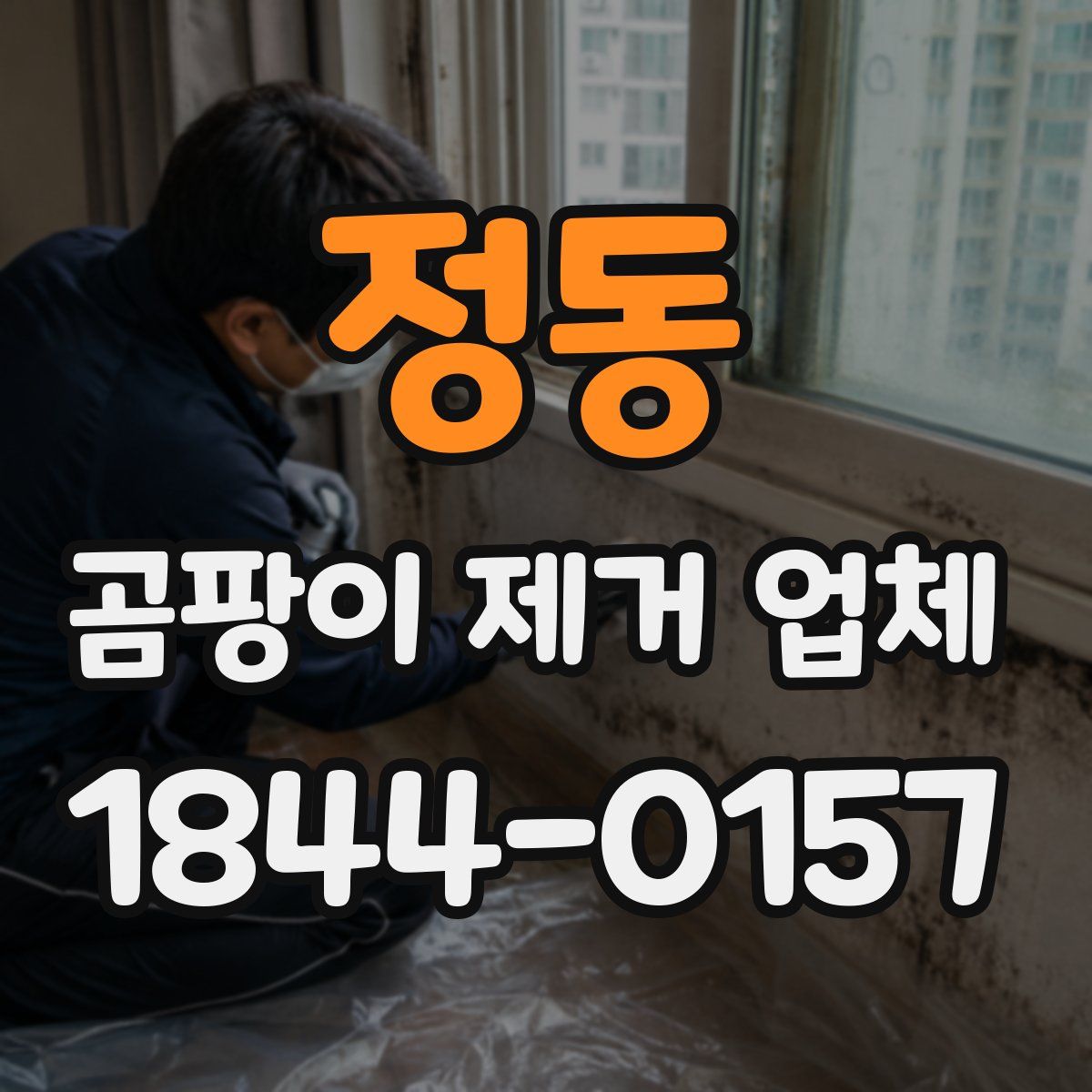정동 곰팡이 제거 업체