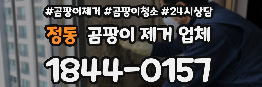 정동 곰팡이 제거 업체
