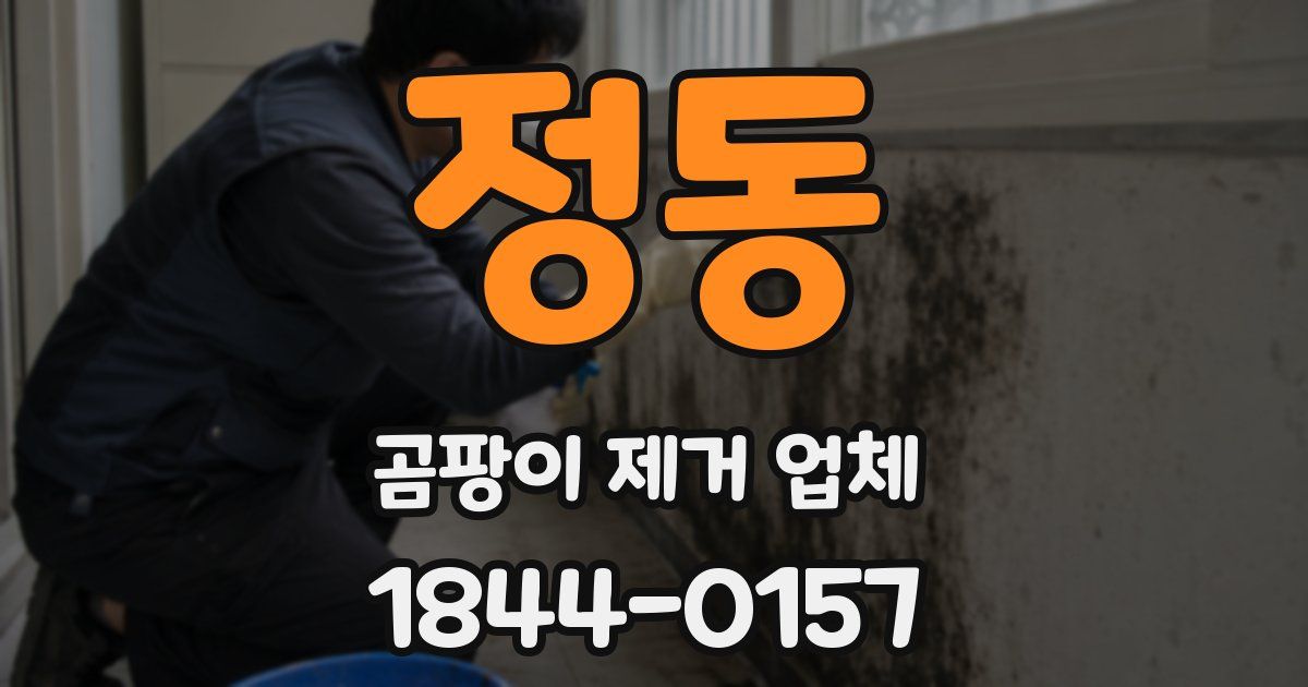 정동 곰팡이 제거 업체