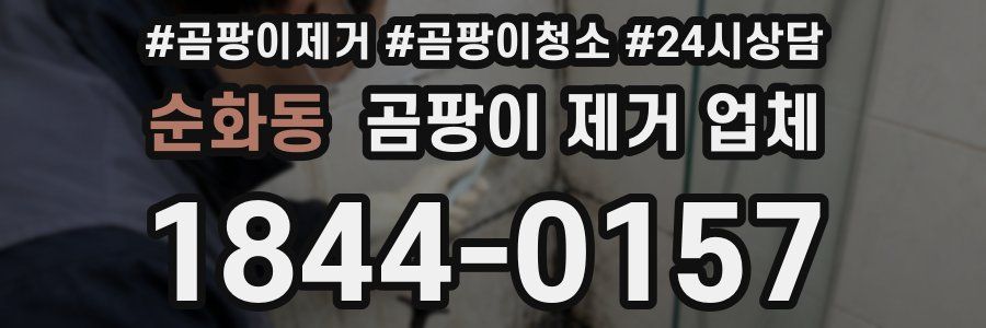 순화동 곰팡이 제거 업체